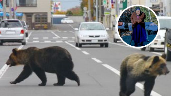 Anciana es atacada por un oso en plena calle; resultó con graves heridas | VIDEO