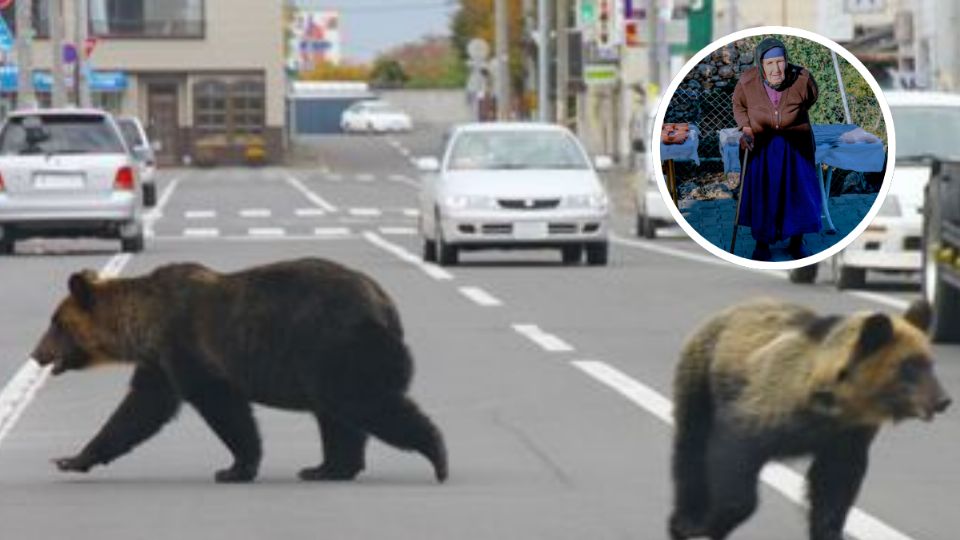 Una viejita fue sorprendida por uno de estos animaes
