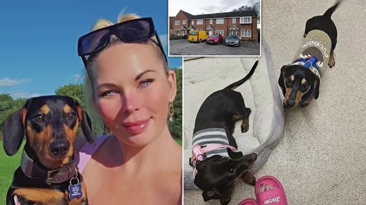 Mujer de 45 años es hallada muerta en su casa; sus perros salchicha devoraron su cadáver