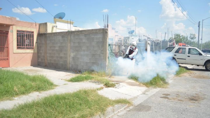 Alertan por peligros del dengue; fumigarán en estas colonias de Nuevo Laredo
