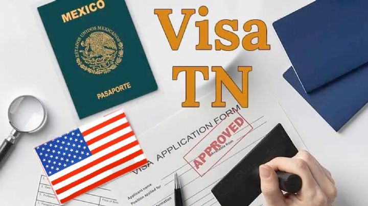 Visa TN, la opción para trabajar como profesionista en EU sin pagar 100 mil dólares por la H-1B