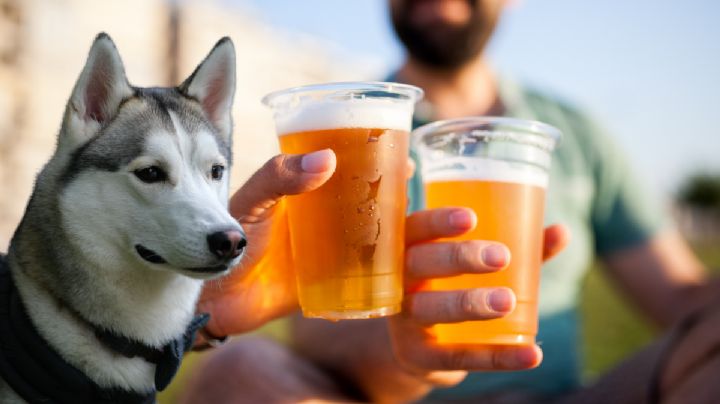 MOMENTO EXACTO en el que una mujer obliga a perro a beber alcohol y se hace viral; exigen sanciones