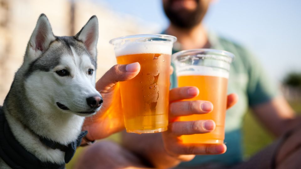 Joven obliga a perro a beber
