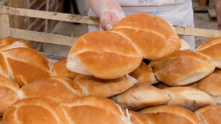 El pan francés lagunero: crujiente por fuera, suave por dentro; el orgullo del norte de México