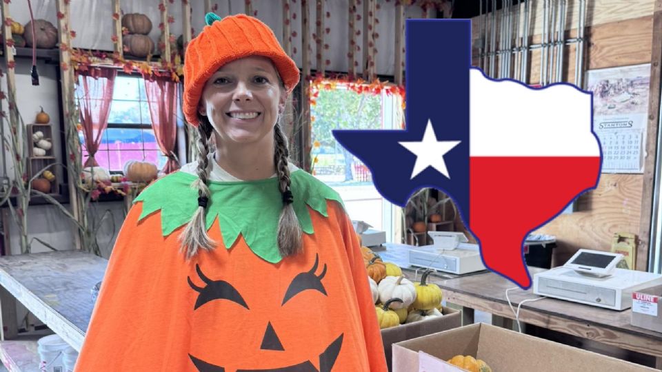 Estos son los huertos de calabazas más populares en Texas