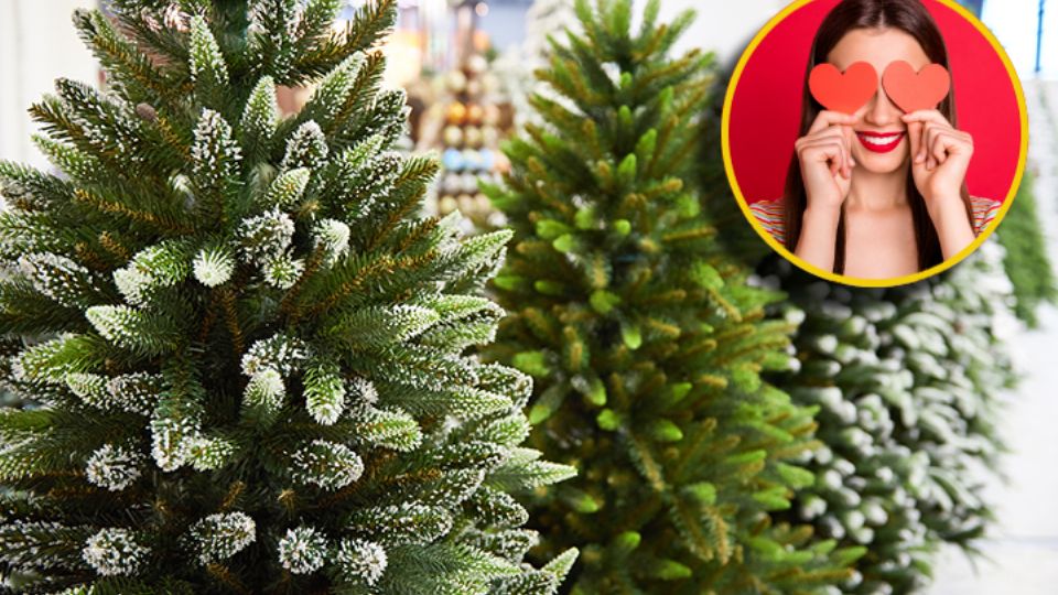 Contrario a los clásicos, este árbol no requiere agua, no deja residuos y puede reutilizarse durante varios años sin perder su encanto