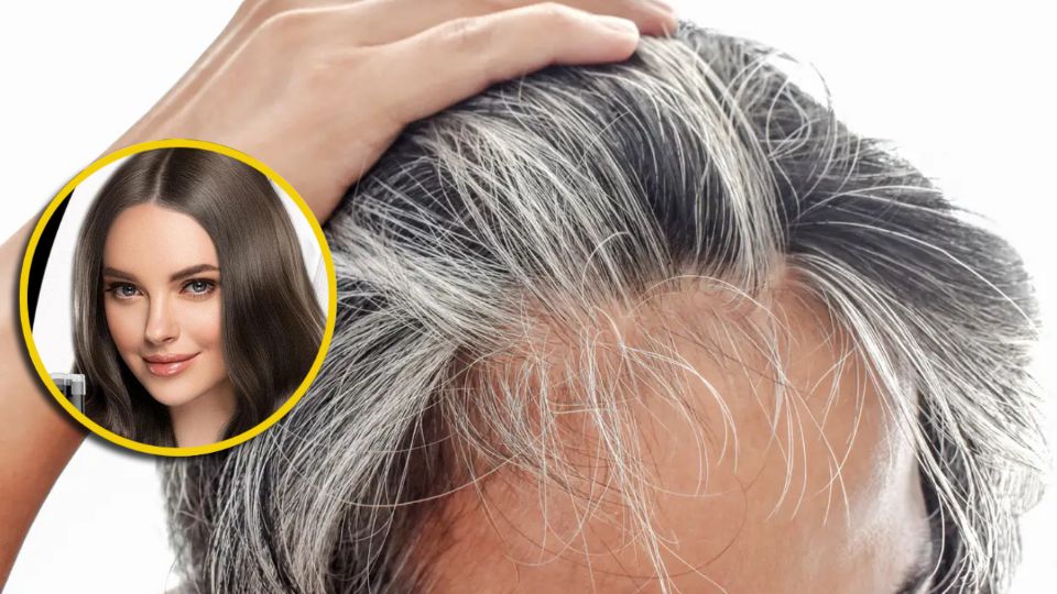 El resultado promete ser un cabello uniforme y brillante con cobertura inmediata de canas