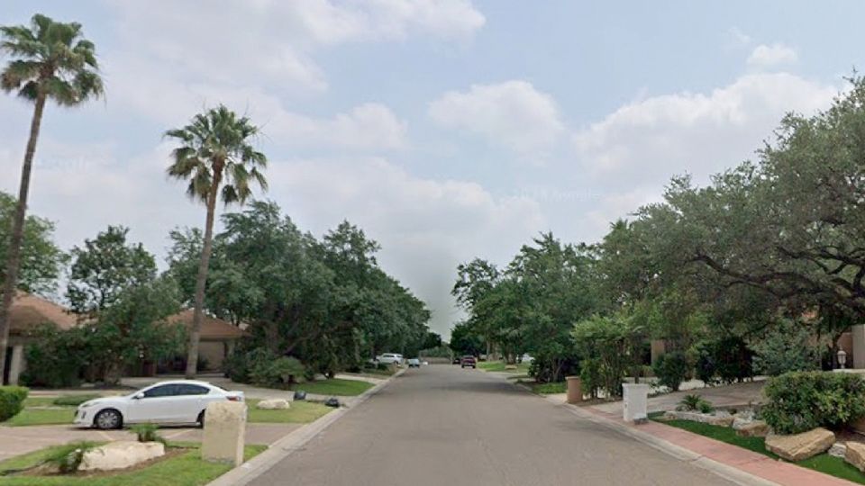 Pierde la vida podando una palma.