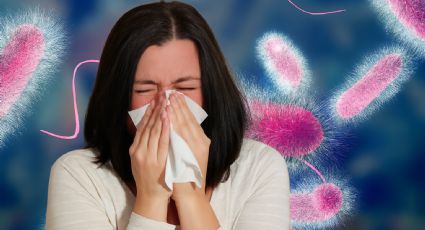 Esta enfermedad amenaza con propagarse; siete muertos y más de 100 infectados en 2025