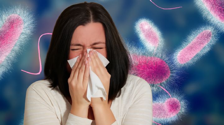 Esta enfermedad amenaza con propagarse; siete muertos y más de 100 infectados en 2025