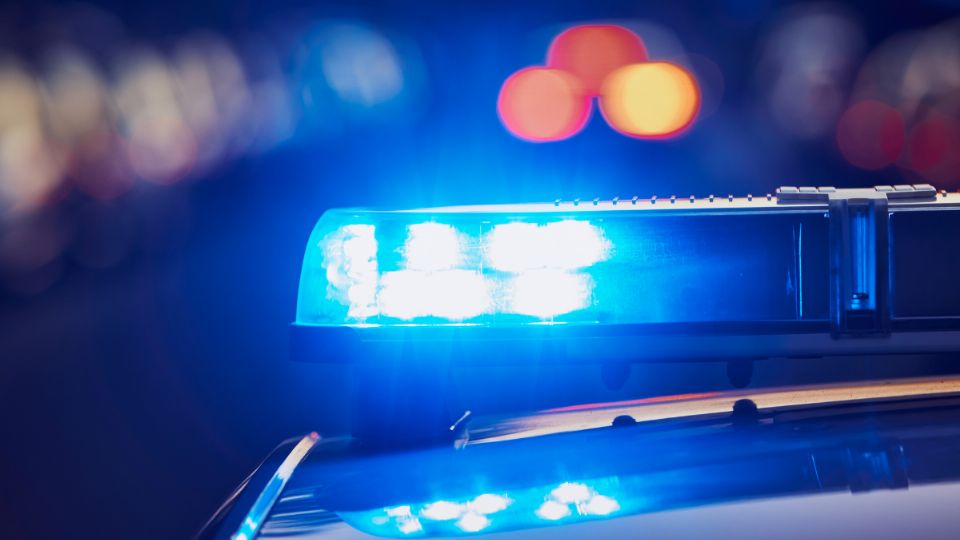 Cateo en Wright Ranch