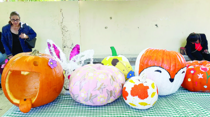 Alumnos de la Secundaria General 7 crean arte y celebran Día de la Calabaza