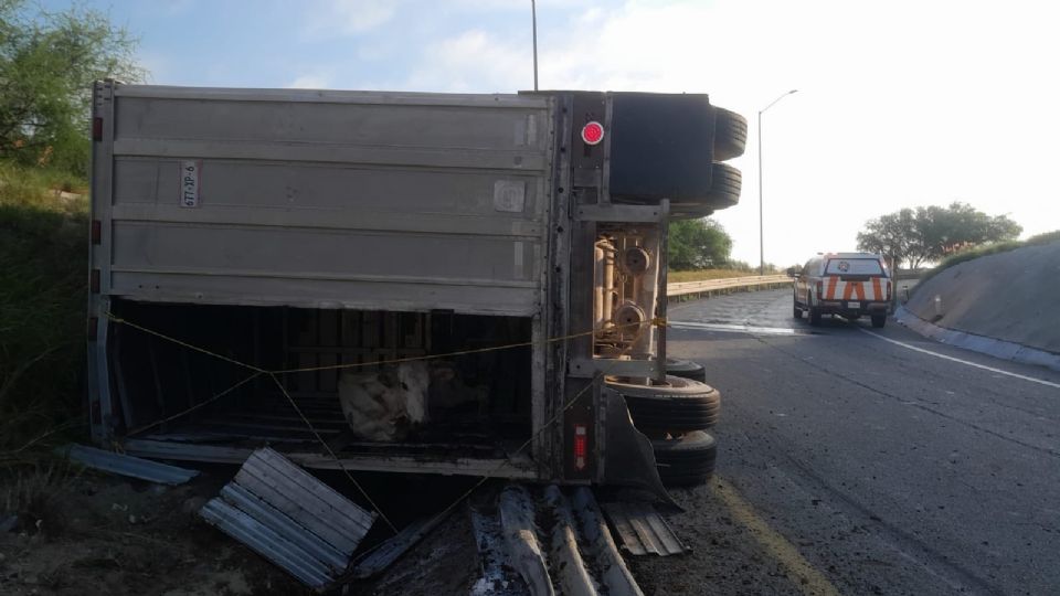 Tráiler vuelca con 66 vacas