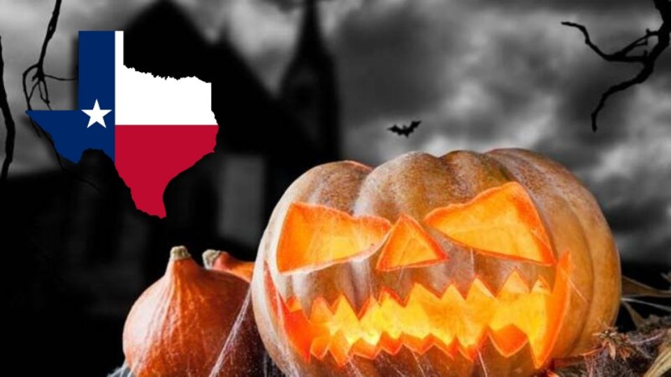 La IA de Google reveló cuáles son los establecimientos con las calabazas más económicas para esta temporada.