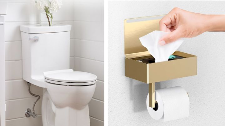 ¿Por qué no deben usarse toallitas húmedas como sustituto del papel higiénico?