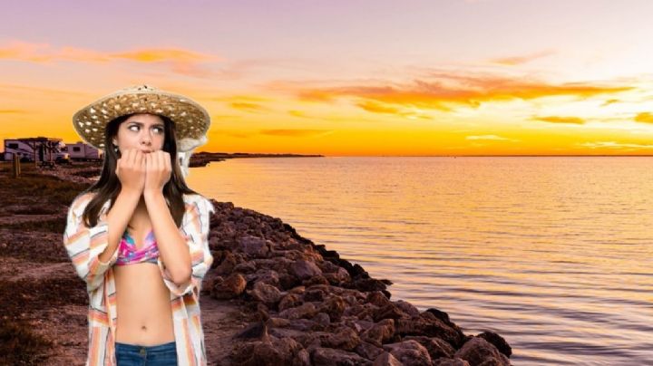 Terror en Texas: enorme animal aparece en la playa; extremidades pueden medir hasta 21 metros