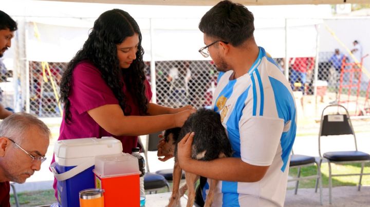 'Presidencia Cerquita de Ti' llega a Valles de Anáhuac; vacunan gratis a mascotas