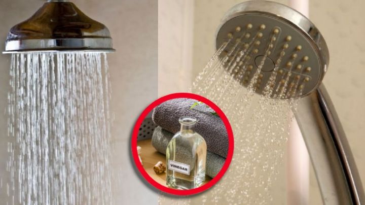 Elimina el sarro de tu regadera con este truco casero que revoluciona la limpieza del baño