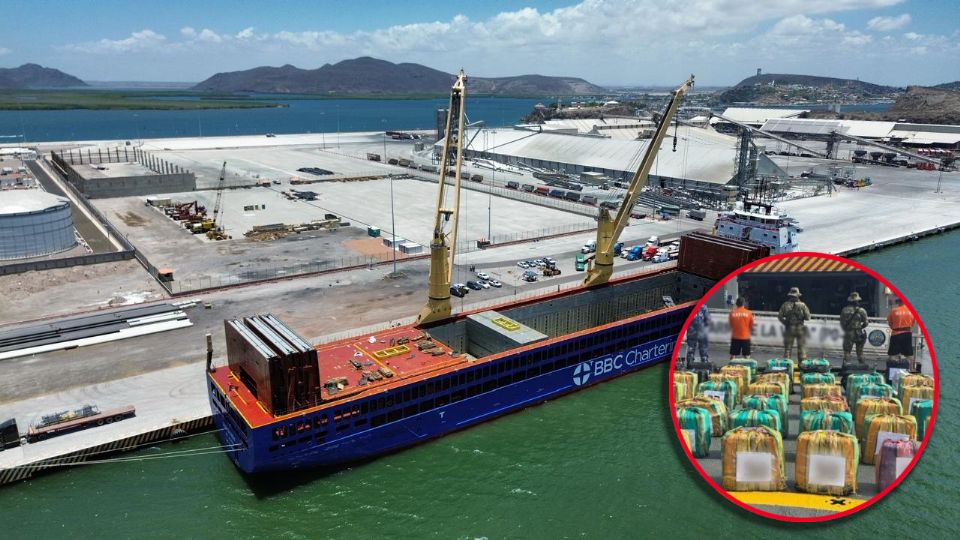 Las investigaciones buscan determinar las redes de complicidad que permitieron el ingreso de estas sustancias al país