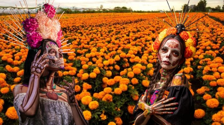 Campo de cempasúchil en Nuevo León deslumbra por su belleza; un Pueblo Mágico que pocos conocen