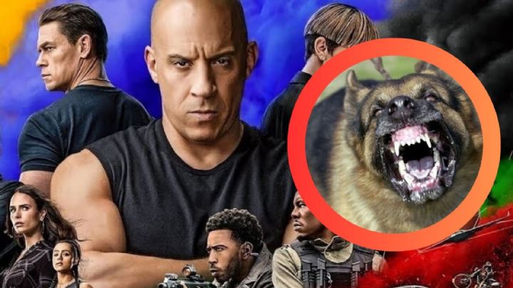 Famoso actor de ‘Rápidos y Furiosos’ se entrega a la policía; esto fue lo que hicieron sus perros