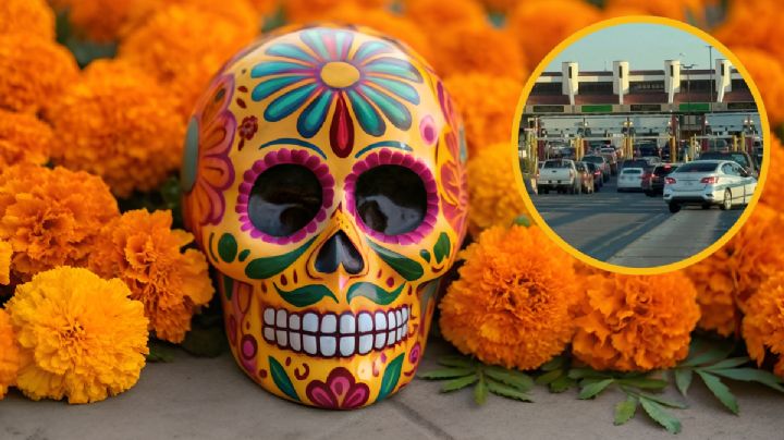 Día de Muertos: ¿Puedo cruzar de México a Estados Unidos con la flor de Cempasúchil?