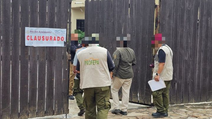 Supervisa Profepa el Zoológico La Pastora; evalúan cumplimiento de medidas tras clausura