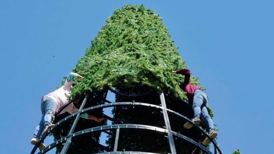 Empiezan los trabajos para los preparativos navideños.