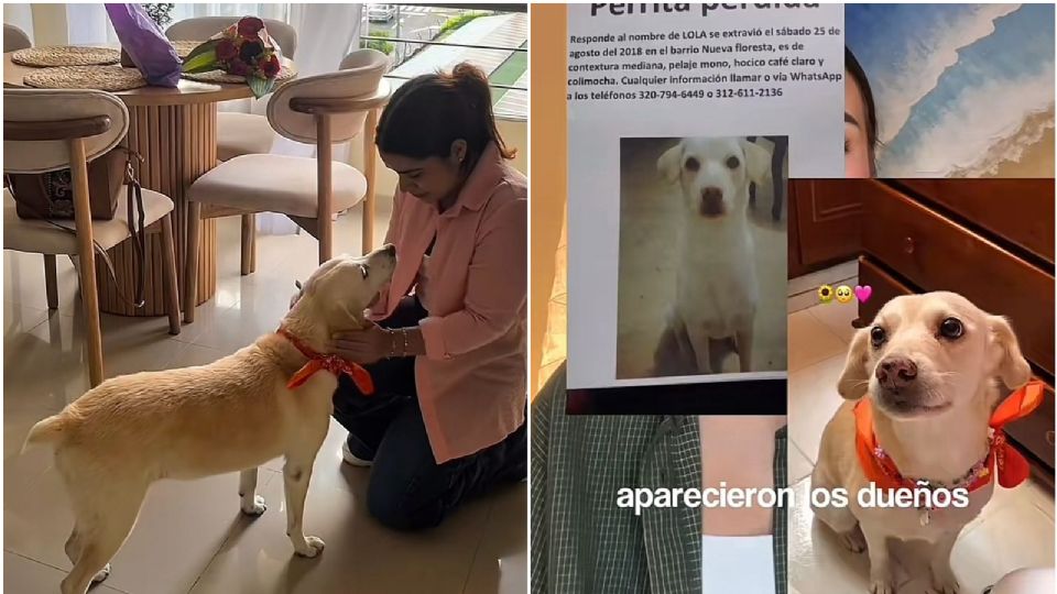 Perrita se reúne con su 'dueña original' después de siete años