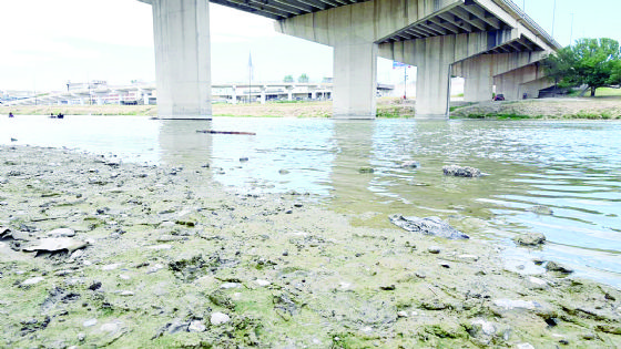 Agua de la frontera está en semáforo rojo