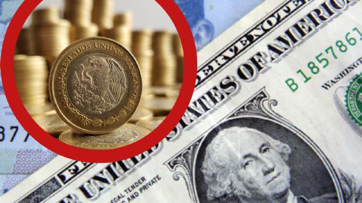 Peso mexicano somete al dólar y muestra su fuerza; tipo de cambio HOY 17 de noviembre