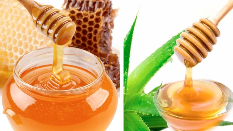 ¿Cuál es la mejor miel?