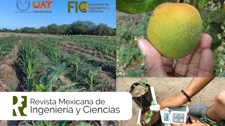 Anuncia la UAT publicación de revista de Ingeniería y Ciencias