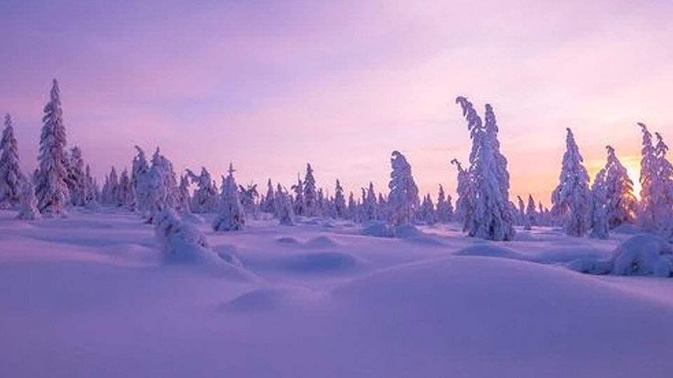 Prevén un duro invierno para este 2025.