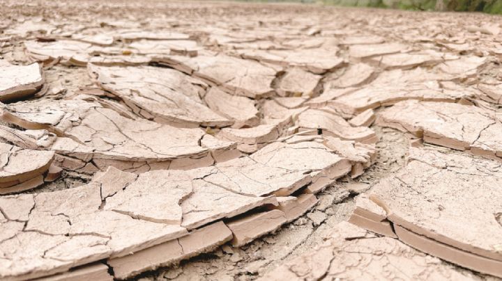 El río Bravo está en crisis; no llega agua de Estados Unidos
