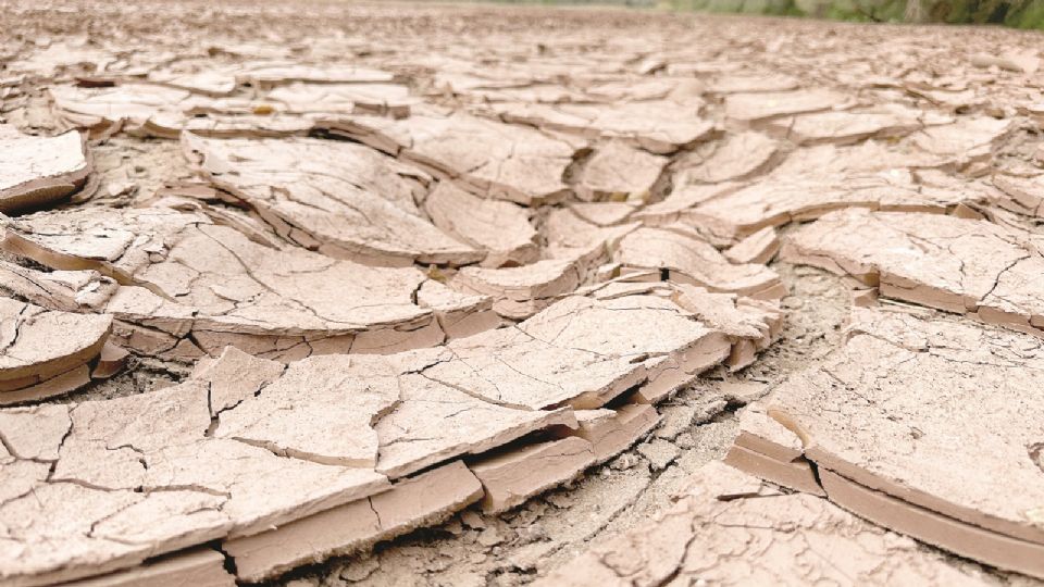 El río Bravo aparece sin nada de agua en Albuquerque y su lugar es ocupado por lodo agrietado.