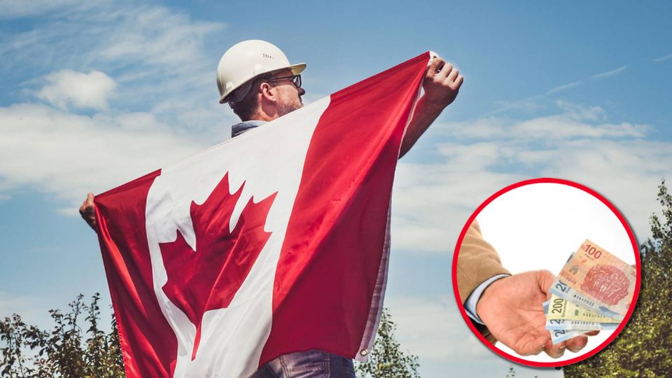 Si sabes inglés básico, ya puedes aplicar a esta vacante en Canadá, con un jugoso sueldo y buenas prestaciones de ley