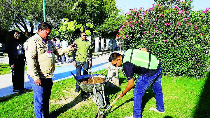 Plantan más de 100 árboles en el campus del Instituto Tecnológico de Nuevo Laredo