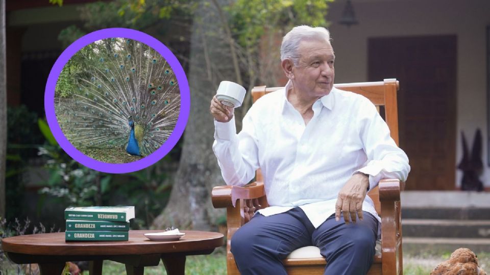 AMLO está viviendo en 'La Chingada', una quinta en Palenque, Chiapas.