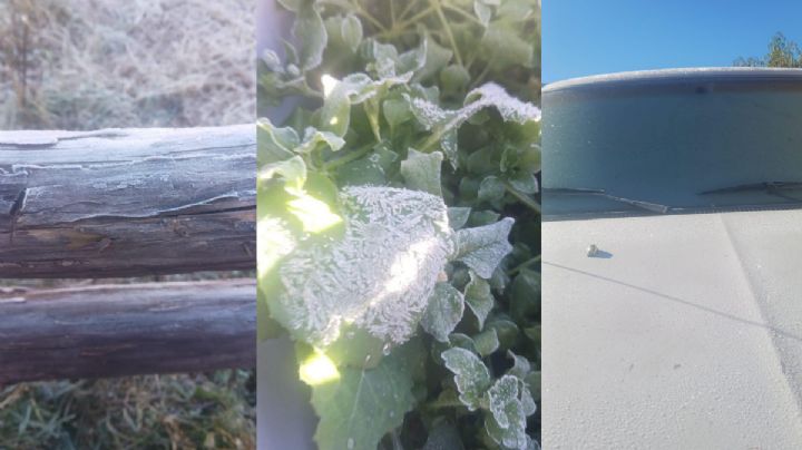 Tamaulipas se cubre de blanco: Miquihuana registra -6.7 °C, la temperatura más baja del otoño