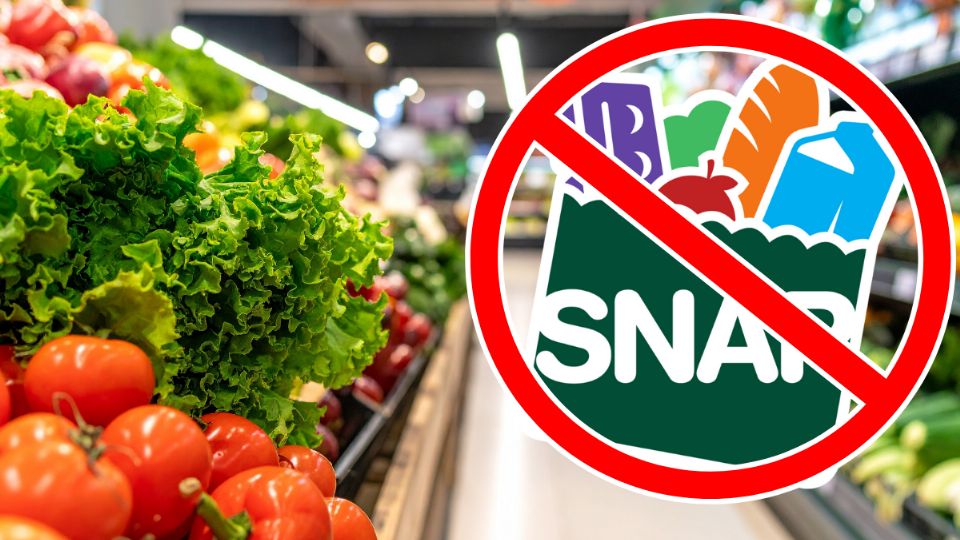 Suspensión de apoyos SNAP