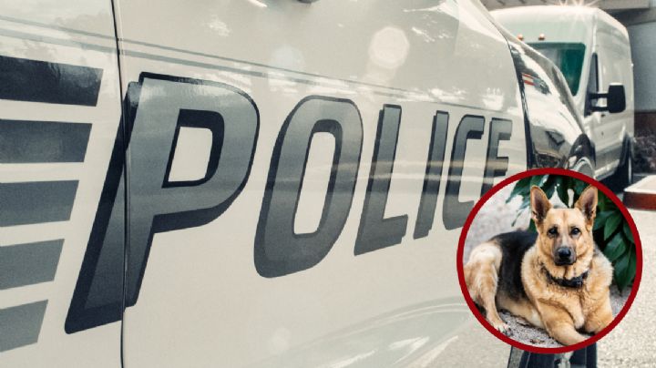 Vecinos graban agresión contra perros en Laredo; su dueño los golpeaba y ahorcaba con un cinturón