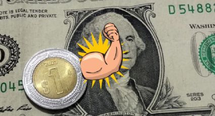 Peso mexicano se fortalece y enfrenta al dólar; tipo de cambio del dólar HOY 6 de noviembre del 2025