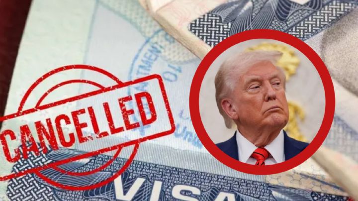 Gobierno de Trump ha cancelado más de 80 mil Visas en lo que va del año; muchas son de estudiantes