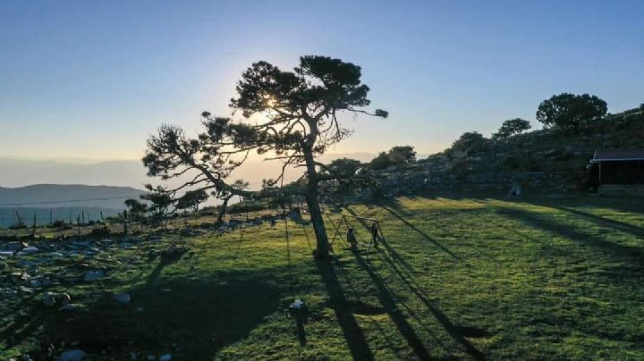 Pino Solo: el tesoro natural de Tamaulipas que te desconecta del ruido de la ciudad