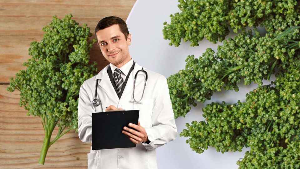 Este superalimento tiene muchas vitaminas y antioxidantes