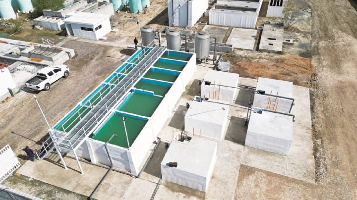 Tendrá Nuevo Laredo un 'bosque' con agua tratada