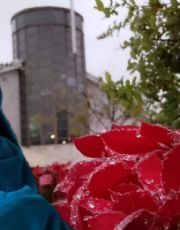 Foto descriptiva de: Clima en Nuevo Laredo: Frente Frío 21 desploma termómetros a cifras de un solo dígito