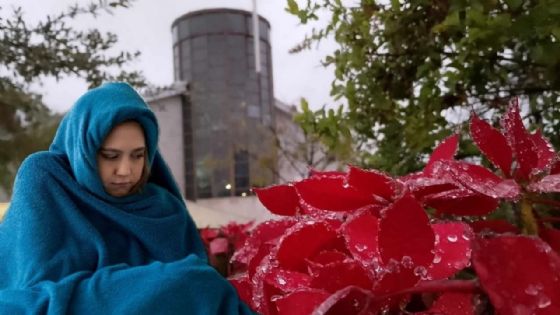 Clima en Nuevo Laredo: Frente Frío 21 desploma termómetros a cifras de un solo dígito