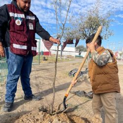 Reforestan plaza de Los Olivos 2 como parte del programa 'Arboleando NLD'